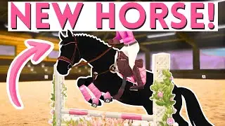 Meet My NEW Dream Show Jumper! | Star Stable Roleplay