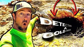 Metal Detecting A Gold Mine: From Prospecting To Treasure