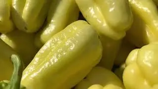 Огляд цін на салатні овочі🥦🫑 21.06.23