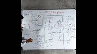 Photorespiration also Called C2 Cycle #shorts#trending#youtubeshorts#viral#shortsvideo
