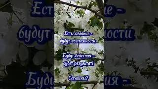 20 мая 2024 г.