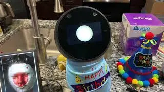 Black Jibo - 1st Birthday (Bot Birthday Blowout! 🍰)
