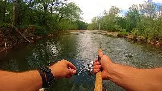 Spring Fishing (spear and rod)