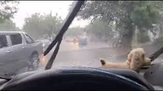 Lluvia. 13 Junio 2024