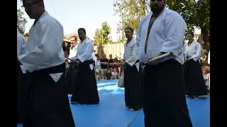 在スイス日本国大使館のお招きに預かり Aikido am Japanfest 2023 3 - 日本祭り