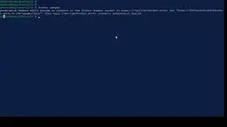 dial unix /var/run/docker.sock: connect: permission denied