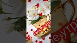 #доброеутро #счастья #тихогомирногодня