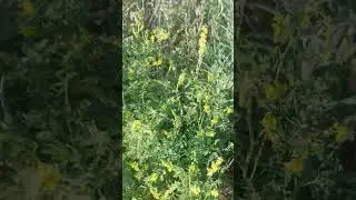 4 июня 2024 г.