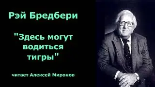Рэй Бредбери "Здесь могут водиться тигры"