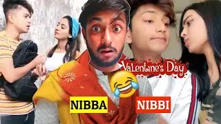 Valentine s Day Nibba Nibbi Love Dr Kamina