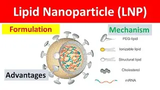 Lipid Nanoparticles Explained: Advantages, Formulation, and Cellular Uptake Mechanism