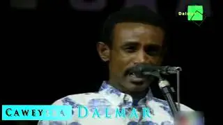 *Yassin Axmed Digfeer | Saxiib