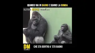 Quando vai in bagno e sganci la bomba