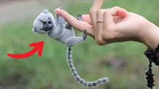 20 Small And Cute Exotic Animals You Can Own As Pets