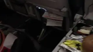 Chihuahua flying in cabin. Dog in cabin. Dog on a plane