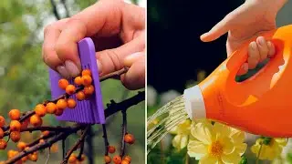 How to use gloves in gardening routine 🧤 