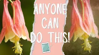 Turn Your Photo into a Painting with a Texture Background on the iPad in Procreate