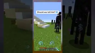 Enderman END moment 😳 
