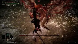 Malenia, Goddess of Rot [RL1, No Damage, No Status Effects, Parry Kill] | Elden Ring RL1 No-Hit