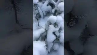 Декабрь! Холод, снег ❄️.