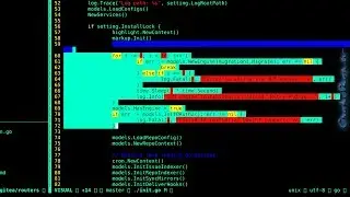GoLang Programming: Gitea Open Source Patch - Improving Startup Robustness on Synology Linux