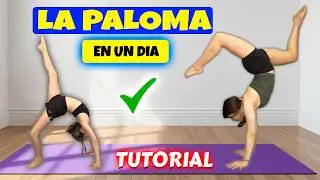 HOW TO MAKE A DOVE? 🌟 Easy and Quick Tutorial 🌟 | Daniela Golubeva