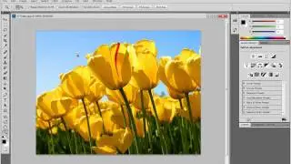 #6 Photoshop CS5 - Zoom Tool In-Depth