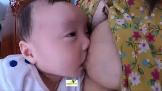 Breastfeeding after breakfast II Beef noodle soup