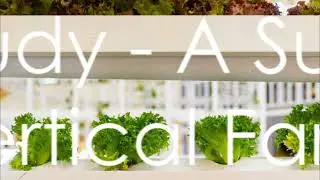 Vertical Farming The Future of Global