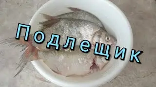 How to dry bream? How I do it