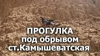ОБРЫВ! Камышеватская! Прогулка по берегу!