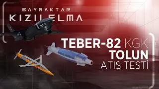 Bayraktar 