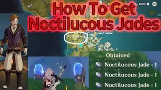 How To Get Noctilucous Jades | Noctilucous Jade Location | Landa Side Quest | Genshin Impact Guide