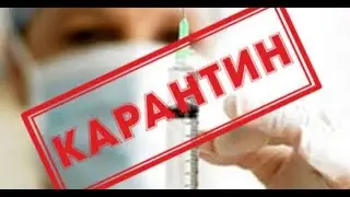 Буратино и Карабас Барабас на карантине