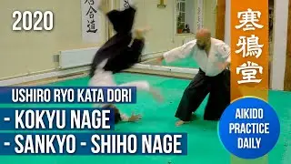 Ushiro Ryo Kata Dori | Kokyu Nage - Sankyo - Shiho Nage | Aikido Practice Daily | 2020