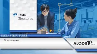 Организатор в Tekla Structures