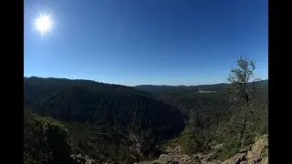 Regeneración natural de bosques tropicales hace frente a deforestación