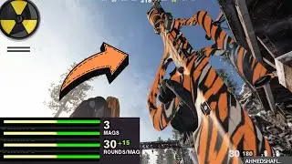 The OVERPOWERED 1-BURST AUG 😻 (Best AUG Class SETUP) - Black Ops Cold War