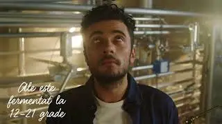 #SurprindeEsenta - Episodul 2: Diferențele dintre Lager și Ale