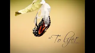 Raising Monarch Butterflies, Butterfly, Chrysalis, Life Cycle