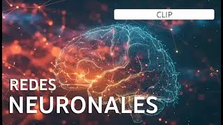 REDES NEURONALES