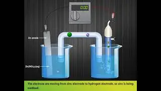 Standard Hydrogen Electrode | Construction & Working | 