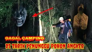 CAMPING HOROR❗Gagal Camping di ganggu Makhluk Penunggu Pohon Angker