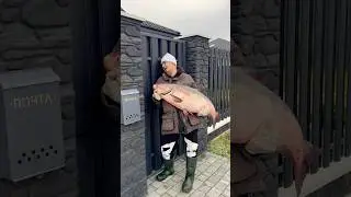 The fisherman returned home. Fishing. 
