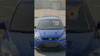 Kisa buys a Ford Focus RS🔥 Kisa explains! 