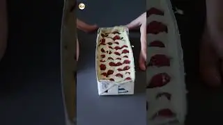 🍫Barra de chocolate no estilo Franuí com framboesa e chocolate!