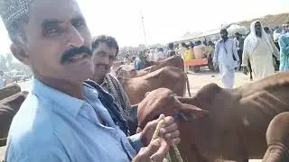 bachra farming velog Pakistan best places to Visit