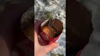 Bushcraft Tips 