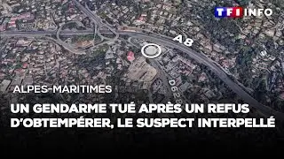 Alpes-Maritimes : un gendarme tué après un refus d'obtempérer, le suspect interpellé