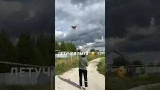 Воздушная змея по деревенский💪🏻🦇🐍#шортс #рек